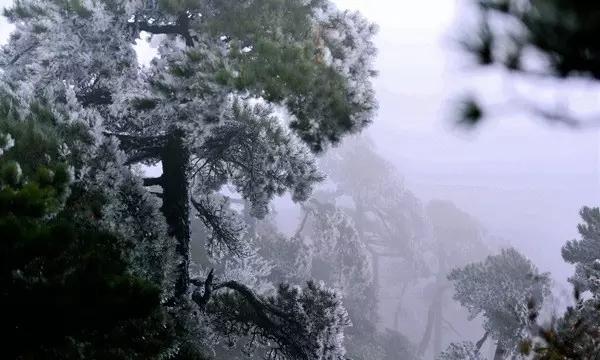 小猫钓鱼开船版最新版下载